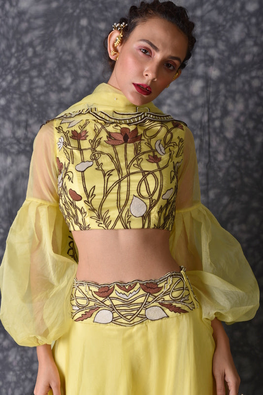Anaar Pomegranate Organza Bell Sleeve Top with Stone Printed Dupion Silk  Skirt